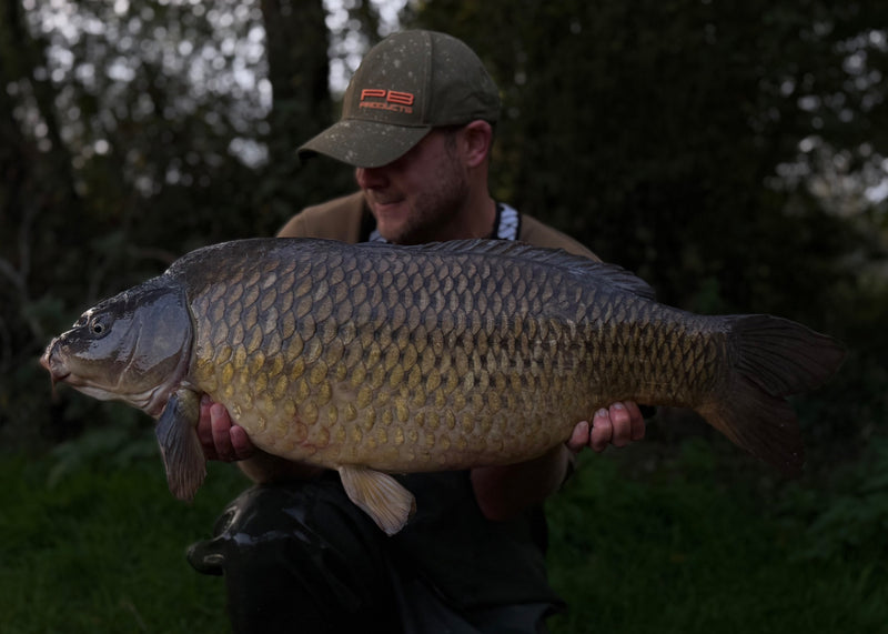 28lb 15oz Common caught by Tyler G.